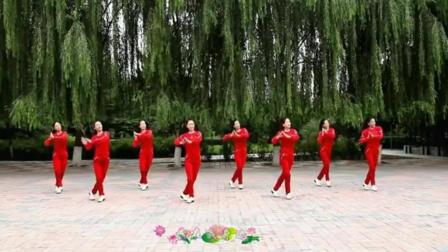 雪山阿佳广场舞步三步广场舞教学