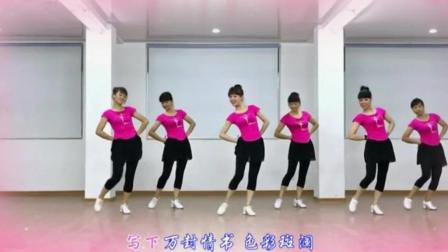 时尚广场舞教学视频《凉凉广场舞视频大全》