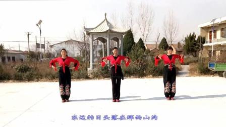 大荔凤玲广场舞《想妹妹》原创香玲含教学