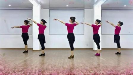 吉美广场舞 广场舞教学分解动作视频
