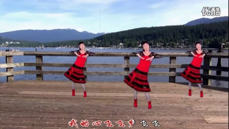 惠汝广场舞《歌在飞》广场舞教学分解动作慢