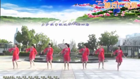 动动广场舞《水月亮》下载