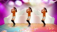 玫香广场舞《DJ女人没有错》 附分解2017最新广场舞下载