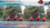 糖豆广场舞2016年最新广场舞《山丹丹花开红
