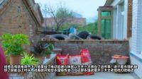 《乡村爱情9》刘能翻身 谢大脚路遇王长贵