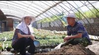《乡村爱情9》30集大结局