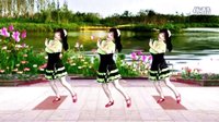 2016最新吕芳广场舞《清清的河水》正背面及