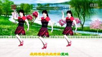 最新吕芳广场舞简单恰恰32步《一曲相思》正