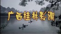 桂林彩调剧《张艄子撒网》 高清