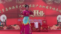 茂腔古装戏《双玉蝉》上下载