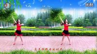 金灿灿广场舞蹈视频大全 广场舞教学《一生无悔》高清下载