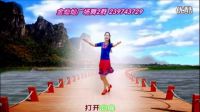 金灿灿广场舞《那里的山那里的水》 编舞杨丽萍下载