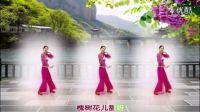 2017新春特辑 广场舞精选金灿灿广场舞《槐树花》杨丽萍下载