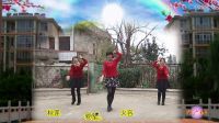黄冈爱华广场舞《风儿带走我的情》金灿灿下载