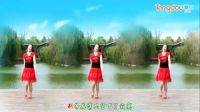 金灿灿广场舞《花开的时候你就来看我》正面演示下载
