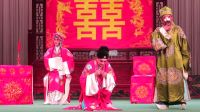 楚剧片段《棒打无情郎》
