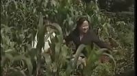云南山歌剧《花心婆娘爱帅哥》云贵歌后马丽