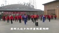 大妈扭得美《春英广场舞》金灿灿广场舞下载