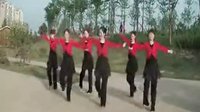 广场舞 教学云裳广场舞动动 高清下载