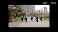 杨艺广场舞杨丽萍广场舞下载