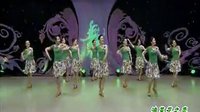 杨艺全民广场舞《油菜花之恋》下载