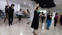 《父亲的草原母亲的河》杨艺广场舞学习现场2下载