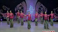 杨艺全民广场舞《月光下的新娘》下载
