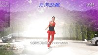 杨艺广场舞望月第八季下载