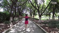 杨艺广场舞广场舞《你不来我不老》下载