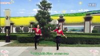 动动广场舞《多嘎多耶》背面分解动作下载