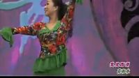 杨艺广场舞《我爱西湖花和水 》高清下载