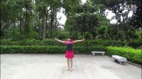 广场舞蹈视频大全杨艺广场舞下载