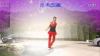 杨艺广场舞专辑望月 第八季下载