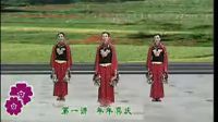 杨艺广场舞《好日子》含分解动作下载