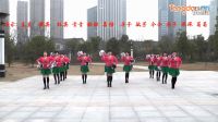 动动广场舞《达令我爱你》12人手球花变队形舞蹈下载