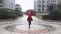 杨艺广场舞广场舞《草原情歌》下载