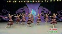 杨艺广场舞《两只蝴蝶》下载