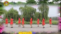 杨艺广场舞云裳广场舞《火火的姑娘》下载