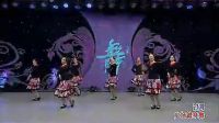 杨艺广场舞《过河》下载