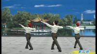 杨艺广场舞《军歌声声》讲课1下载