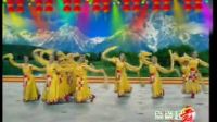 杨艺广场舞《吉祥颂》表演1下载