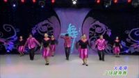 杨艺广场舞《大高原》表演1下载