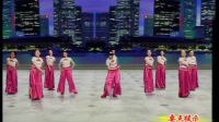 杨艺广场舞《妻子》队形演示1下载