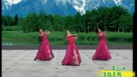 杨艺广场舞《我爱你塞北的雪》讲课1下载