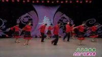 杨艺广场舞《火火的姑娘》表演1下载