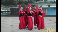 杨艺广场舞《红红的日子》表演1下载