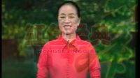 杨艺广场舞《绣红旗》讲课1下载
