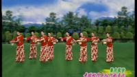 杨艺广场舞《美丽的心情》队形演示1下载