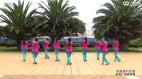 杨艺广场舞广场舞视频大全下载