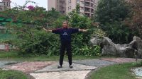 健身气功易筋经演练下载